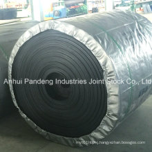 DIN/ASTM/Cema/Sha Standard Cold Resistant Conveyor Belt